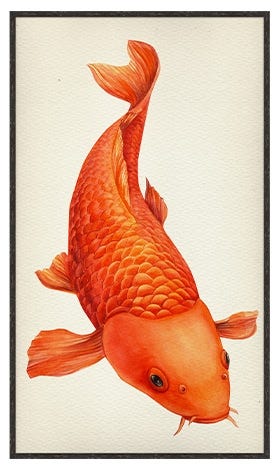 Large Poster Picture Frame 48x84