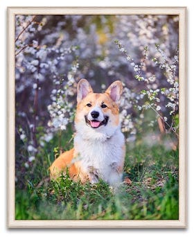 Large Poster Picture Frame 40x50